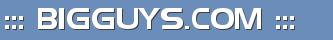 ::: BIGGUYS.COM :::